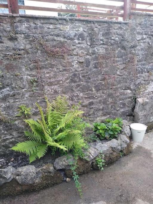 2 Bed Pet-free Cottage, Private Garden & Fell View * Arlecdon